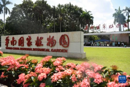 成都助孕中介（华南国家植物园正式揭牌）